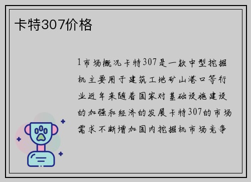 卡特307价格